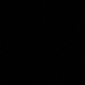 Meet your Posher, Shane